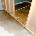 How to Properly Dispose of Sewage to Prevent Water Damage and Mold