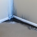 Promptly Addressing Leaks and Backups: How to Protect Your Home from Water Damage