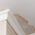 Painting and Finishing Work: A Comprehensive Guide to Water Damage Restoration