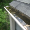 Cleaning Gutters and Downspouts: Tips for Preventing Water Damage