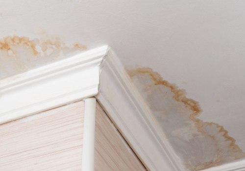 Quick Response Time: How to Choose the Right Water Damage Contractor