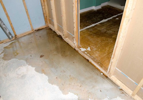 How to Properly Dispose of Sewage to Prevent Water Damage and Mold