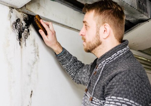 A Complete Guide to Mold Remediation: Everything You Need to Know