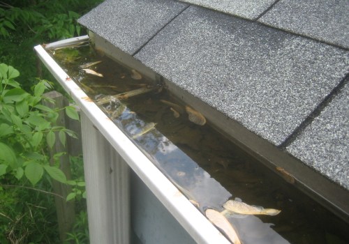 Cleaning Gutters and Downspouts: Tips for Preventing Water Damage